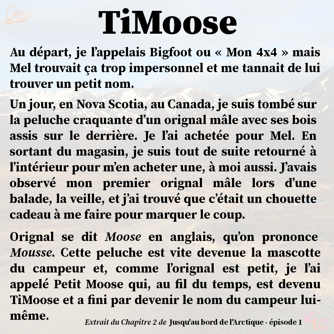 Affiche-TiMoose02