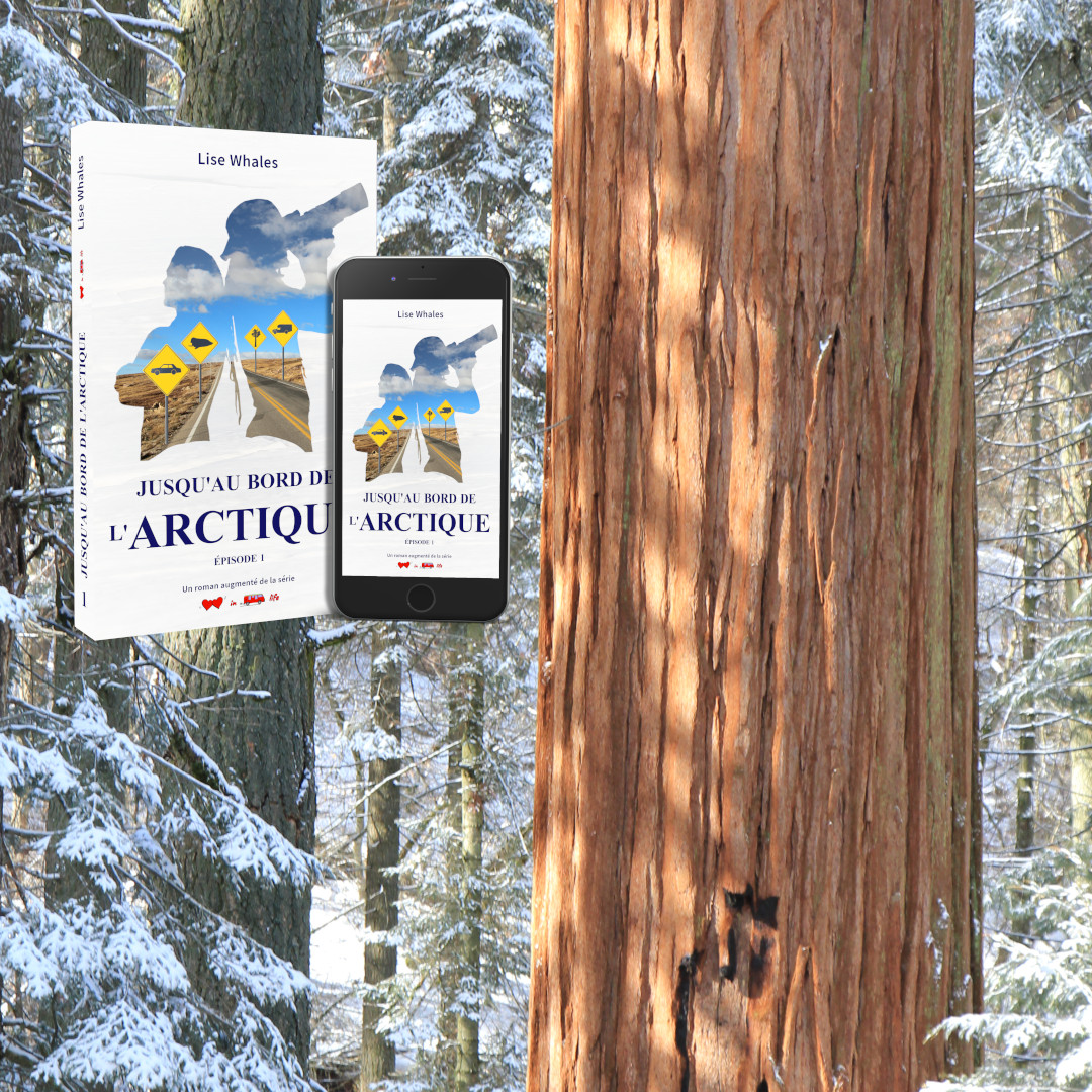 Affiche JABDLA 1 - sequoia