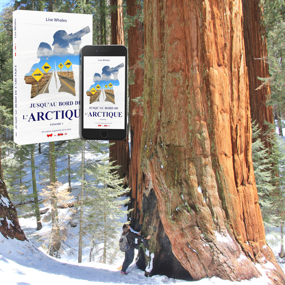 Affiche JABDLA 1 - Lea au pied d'un sequoia