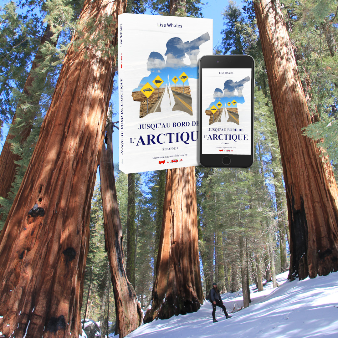 Affiche JABDLA 1 - Dan au pied des sequoias