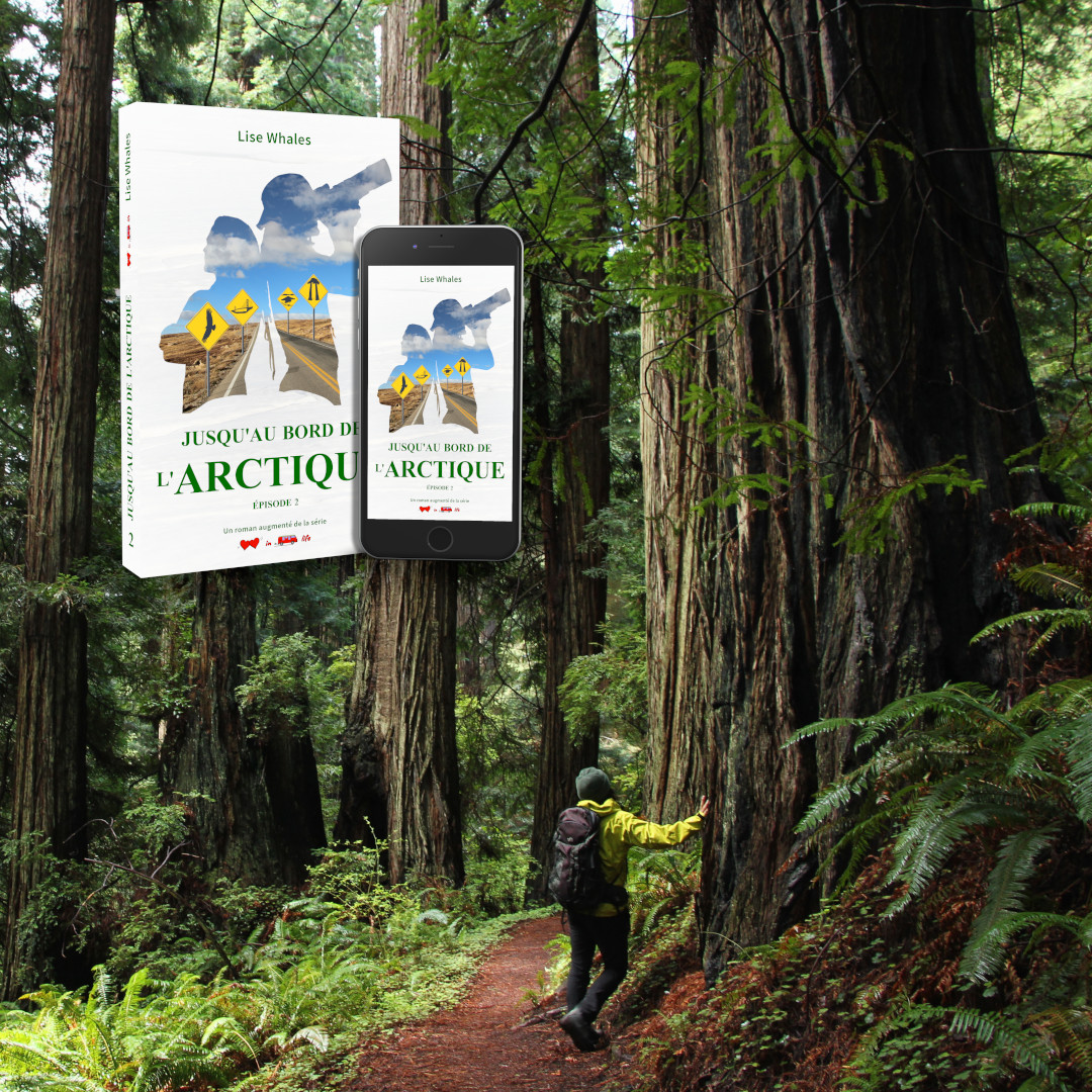 Affiche JABDLA 2 - Dan au pied d'un redwood